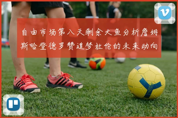 自由市场第八天剩余大鱼分析詹姆斯哈登德罗赞追梦杜伦的未来动向