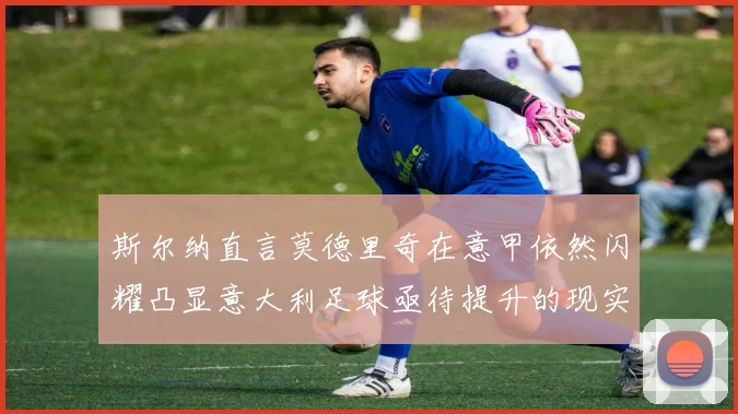 斯尔纳直言莫德里奇在意甲依然闪耀凸显意大利足球亟待提升的现实问题