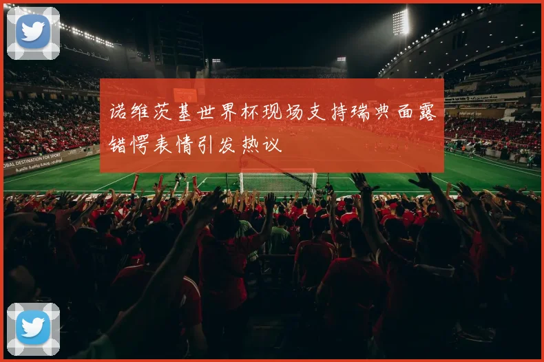诺维茨基世界杯现场支持瑞典面露错愕表情引发热议